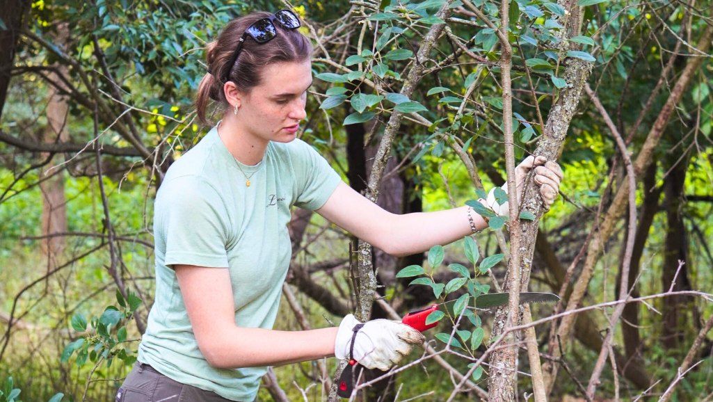 Invasive Species Removal at Provin Trails