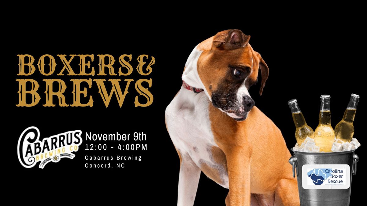 Boxers & Brews at Cabarrus Brewing