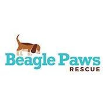 Beagle Paws Rescue