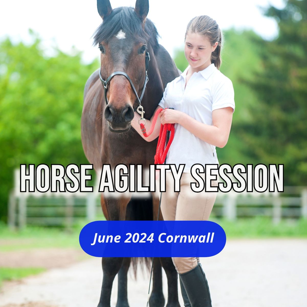 Horse Agility Session (June 2024)