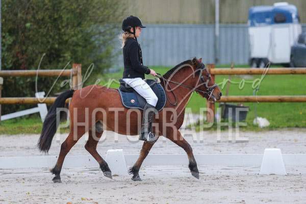 Concours Dressage Villers sur Port