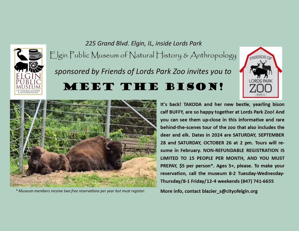 MEET THE BISON! It's back! 