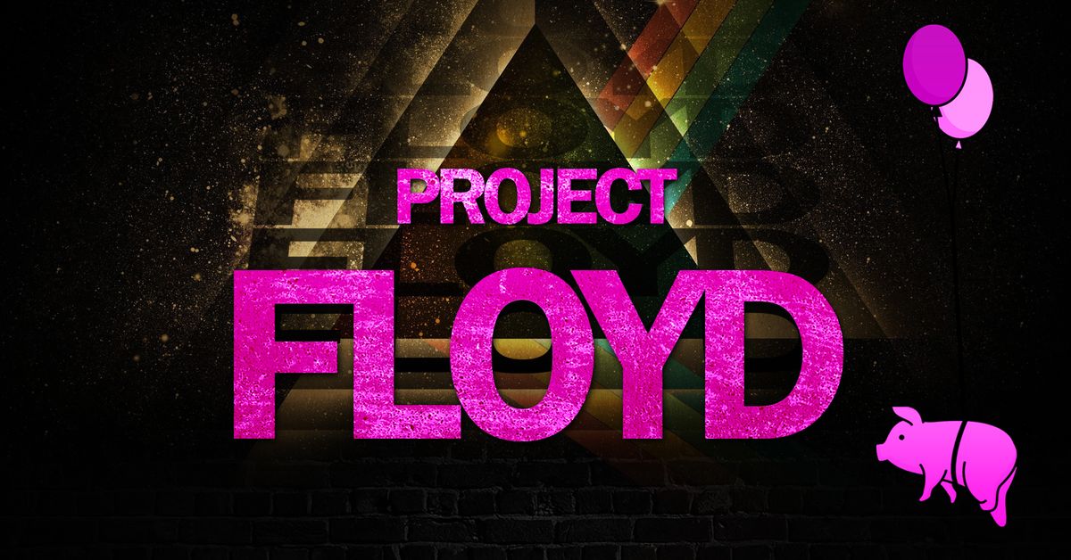 Project Floyd - Live at The Ferry