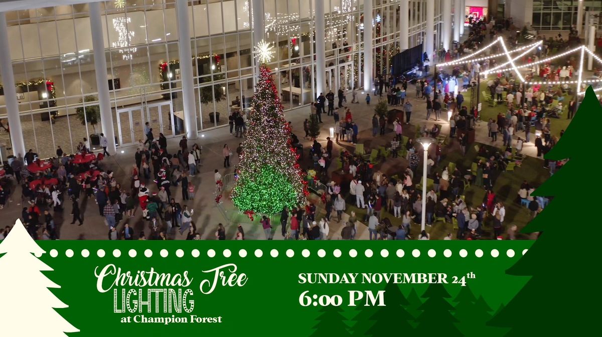 Christmas Tree Lighting