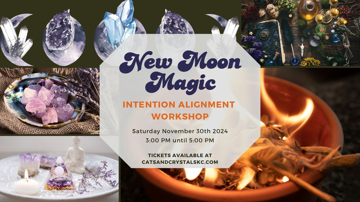 New Moon Intention Alignment Workshop (Northland KC)