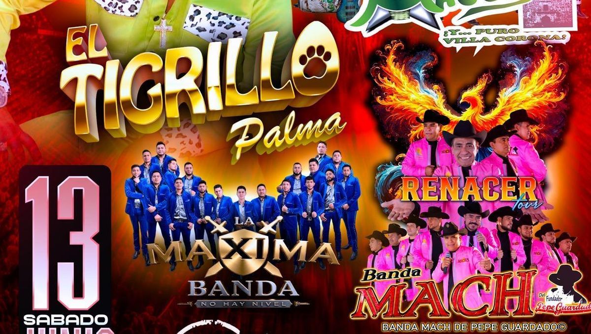 LA ORIGINAL BANDA MAGUEY, EL TIGRILLO PALMA & MAS