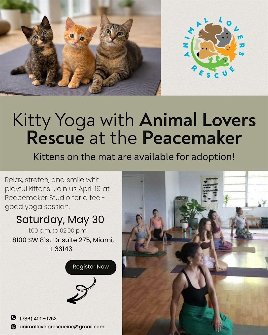 Kitty Yoga with Animal Lovers Rescue at the Peacemaker