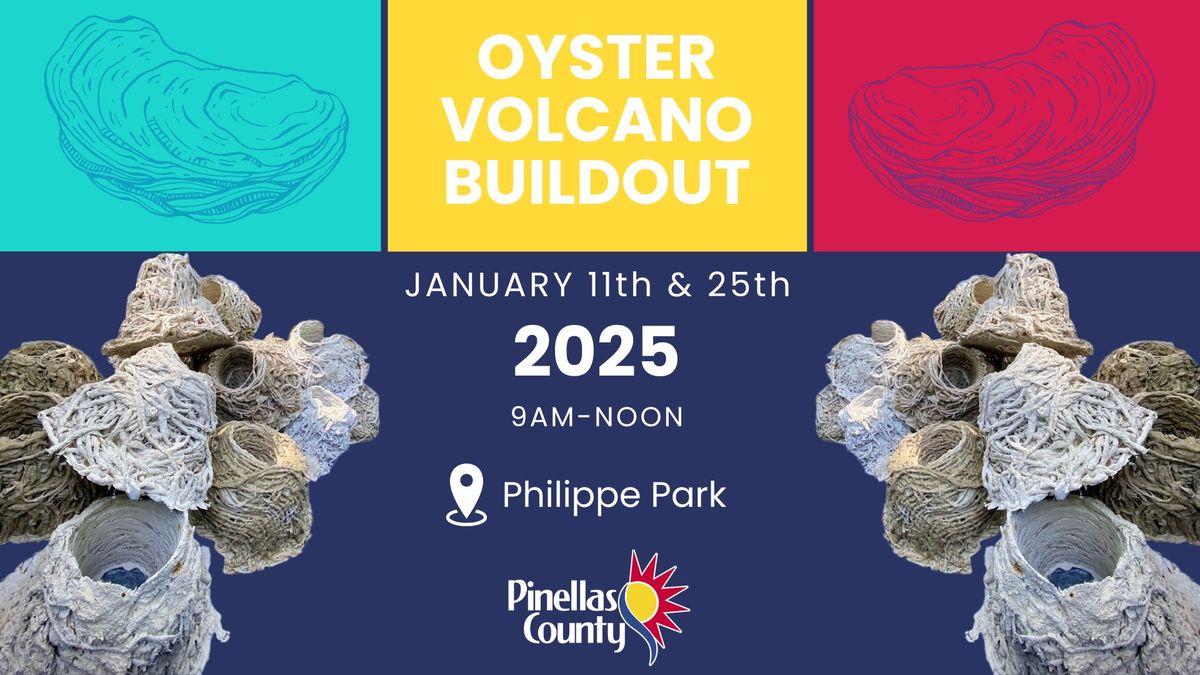 Pinellas County Oyster Volcano Buildout