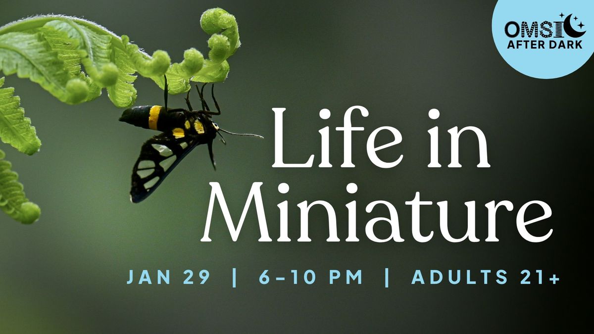 OMSI After Dark: Life in Miniature