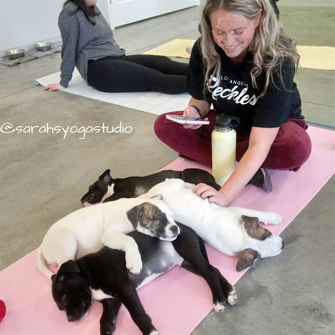 Puppy Yoga at Larks Entertainment - KC with Sarah's Yoga Studio