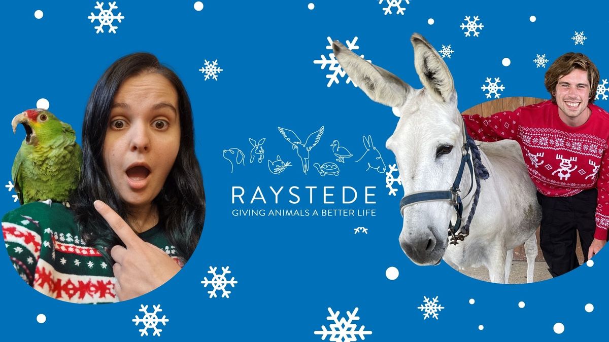 Raystede Christmas Jumper Day - Thursday 12 December