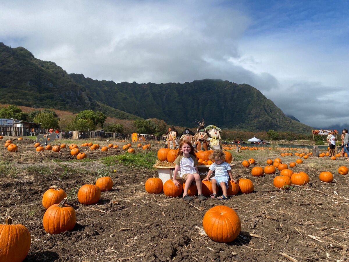 Pumpkin Harvest Festival