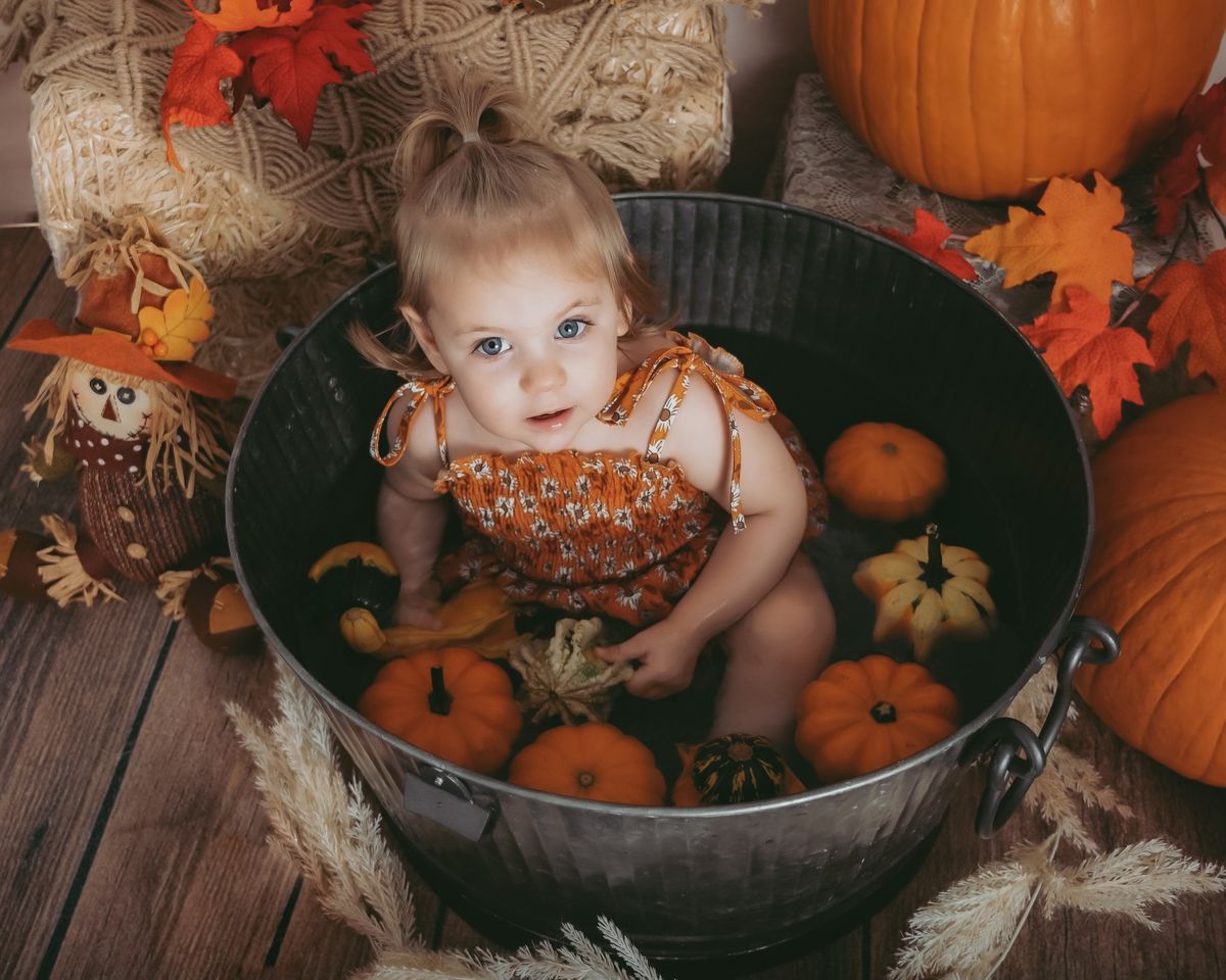 Fall Minis or Milestone Sessions