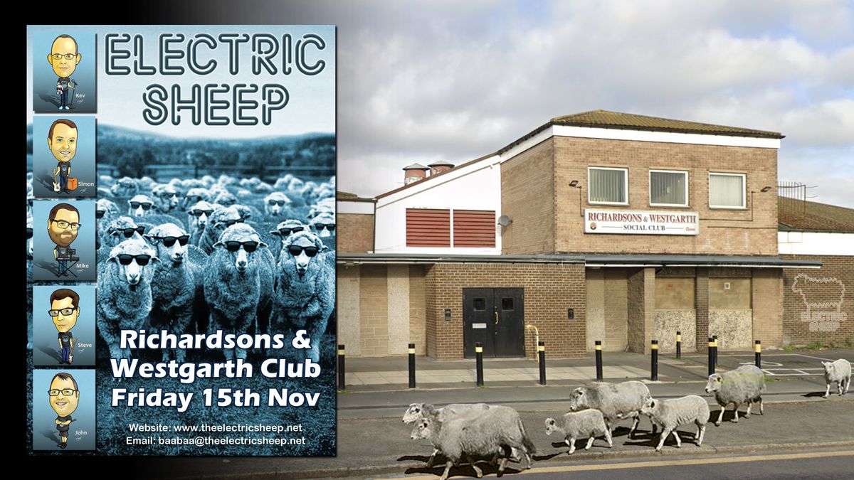 Electric Sheep at Richardsons and Westgarth Social Club