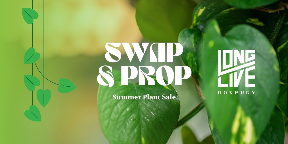 Summer Swap & Prop: Tropical plant and accessories sale