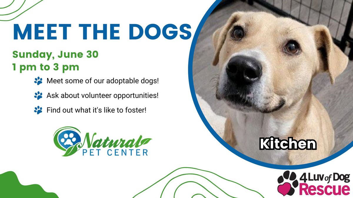 Meet the Dogs at Natural Pet Center 