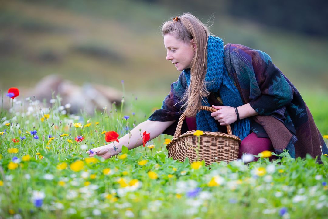 Foraging Across the Seasons (Autumn)