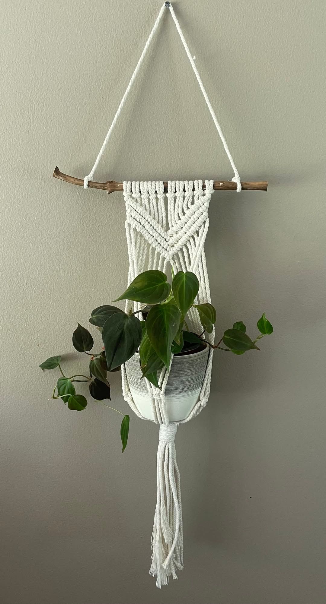 Macrame plant hanger class at Owosso floral & gifts 