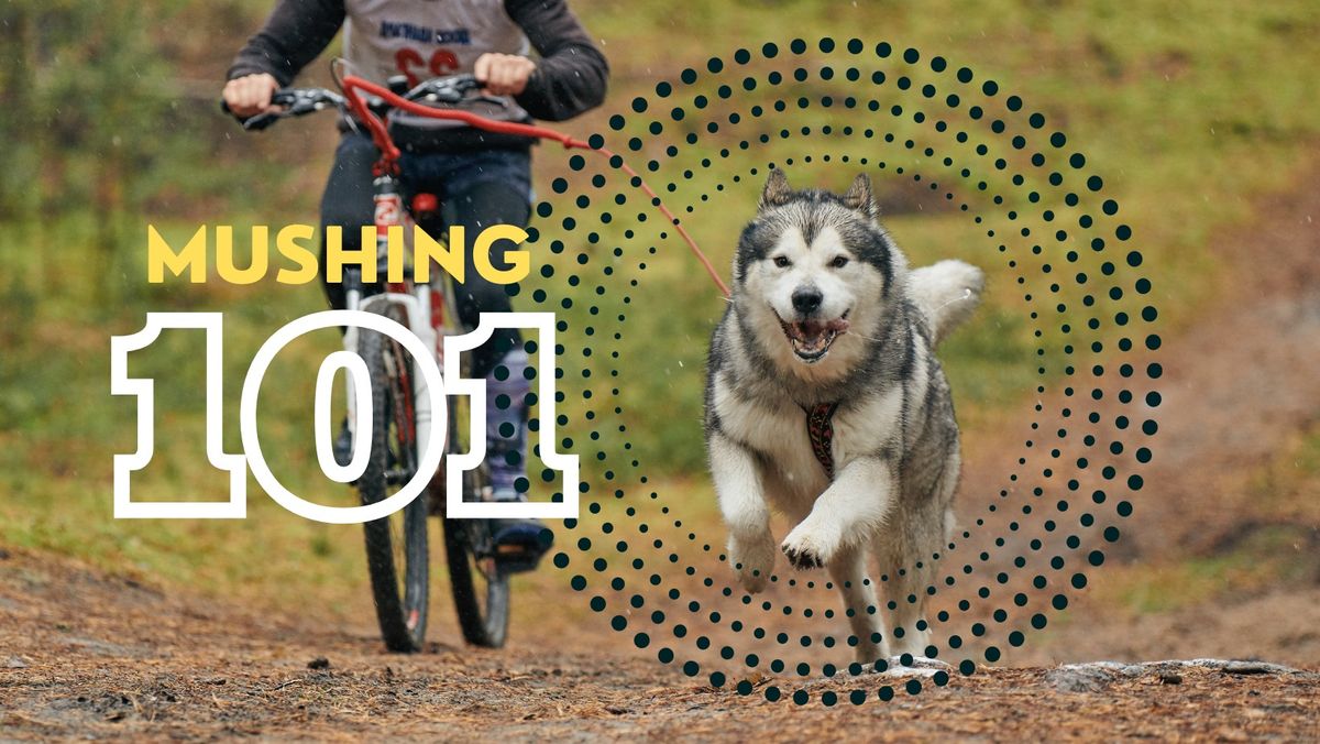 Mushing 101