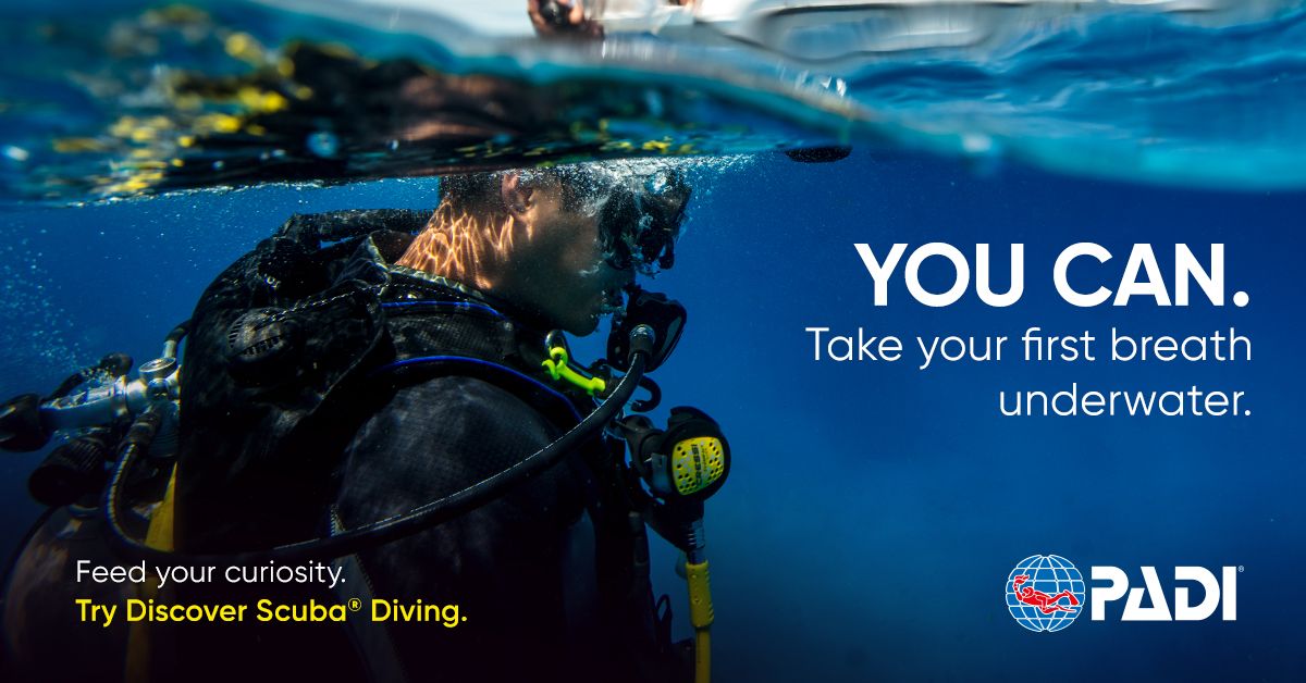 Discover Scuba Diving session at Carleton University
