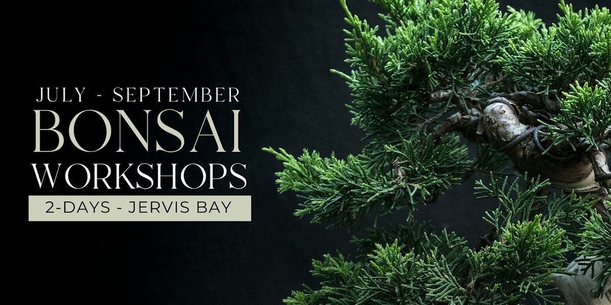 Bonsai Large Trees Workshop: Cultivating and Nurturing Grand Masterpieces