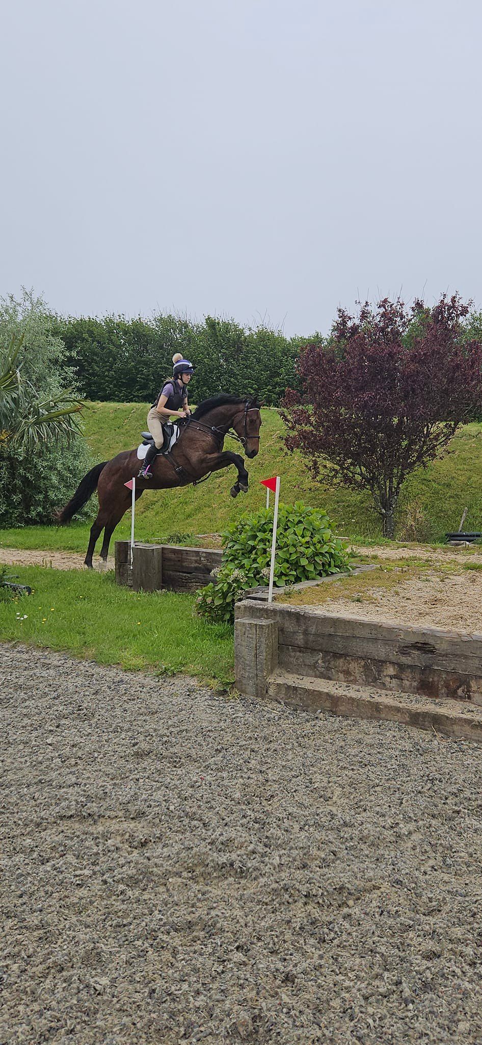 Colraine Arena Eventing Clinic 