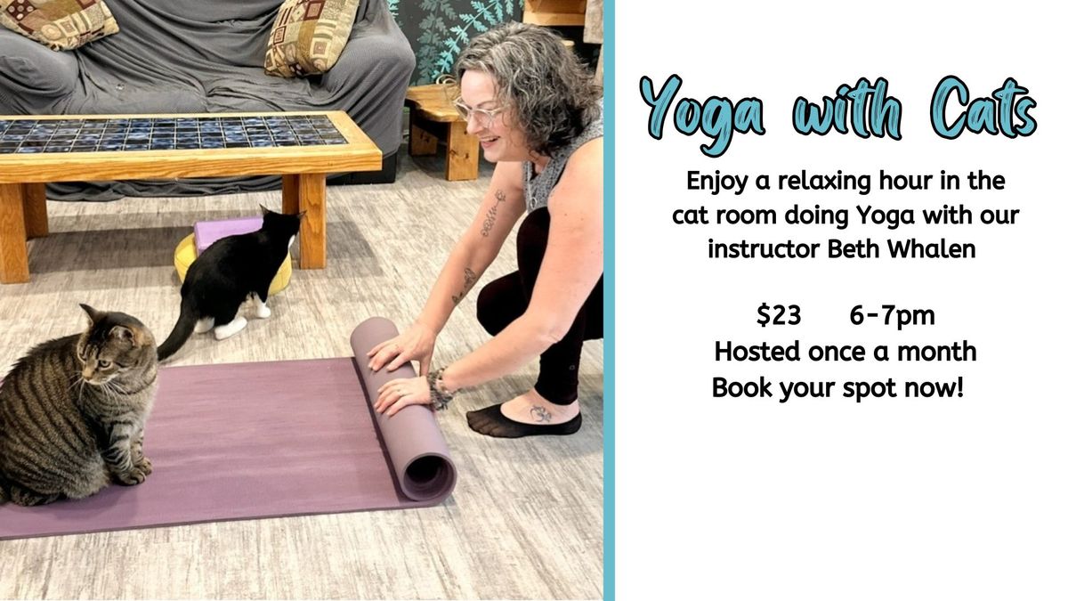 Yoga with Cats 