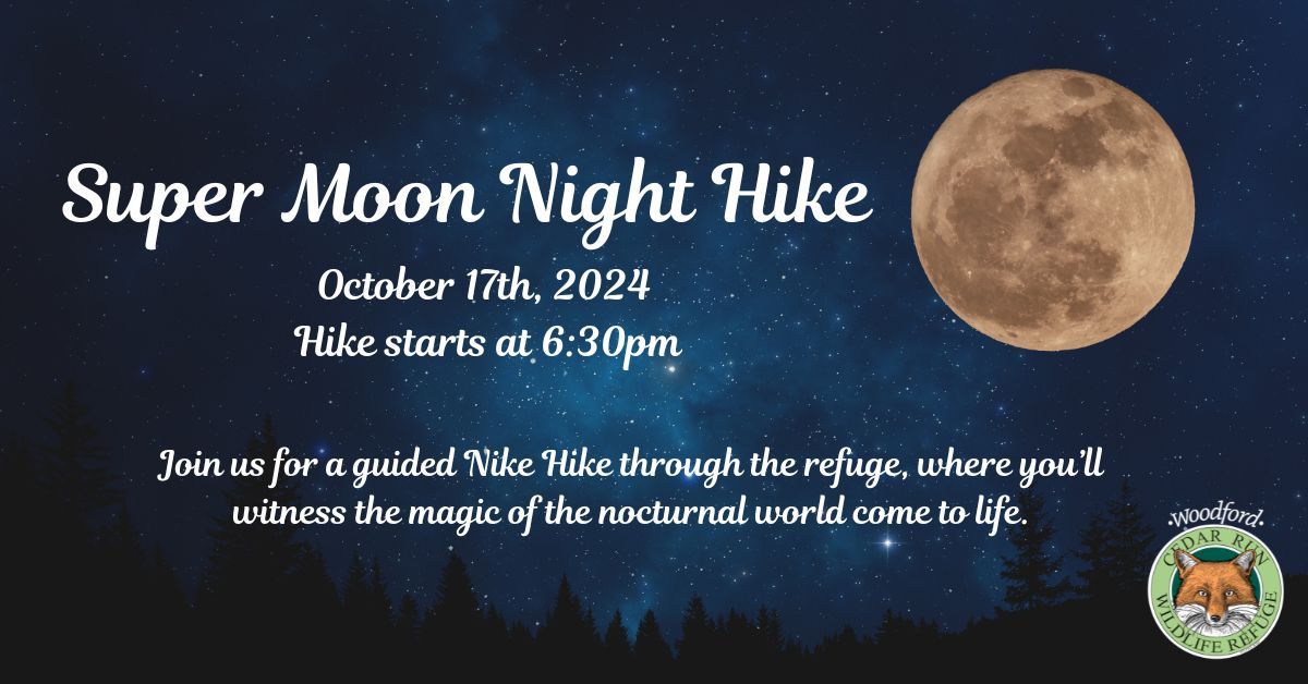 Super Moon Night Hike- Adults Only!