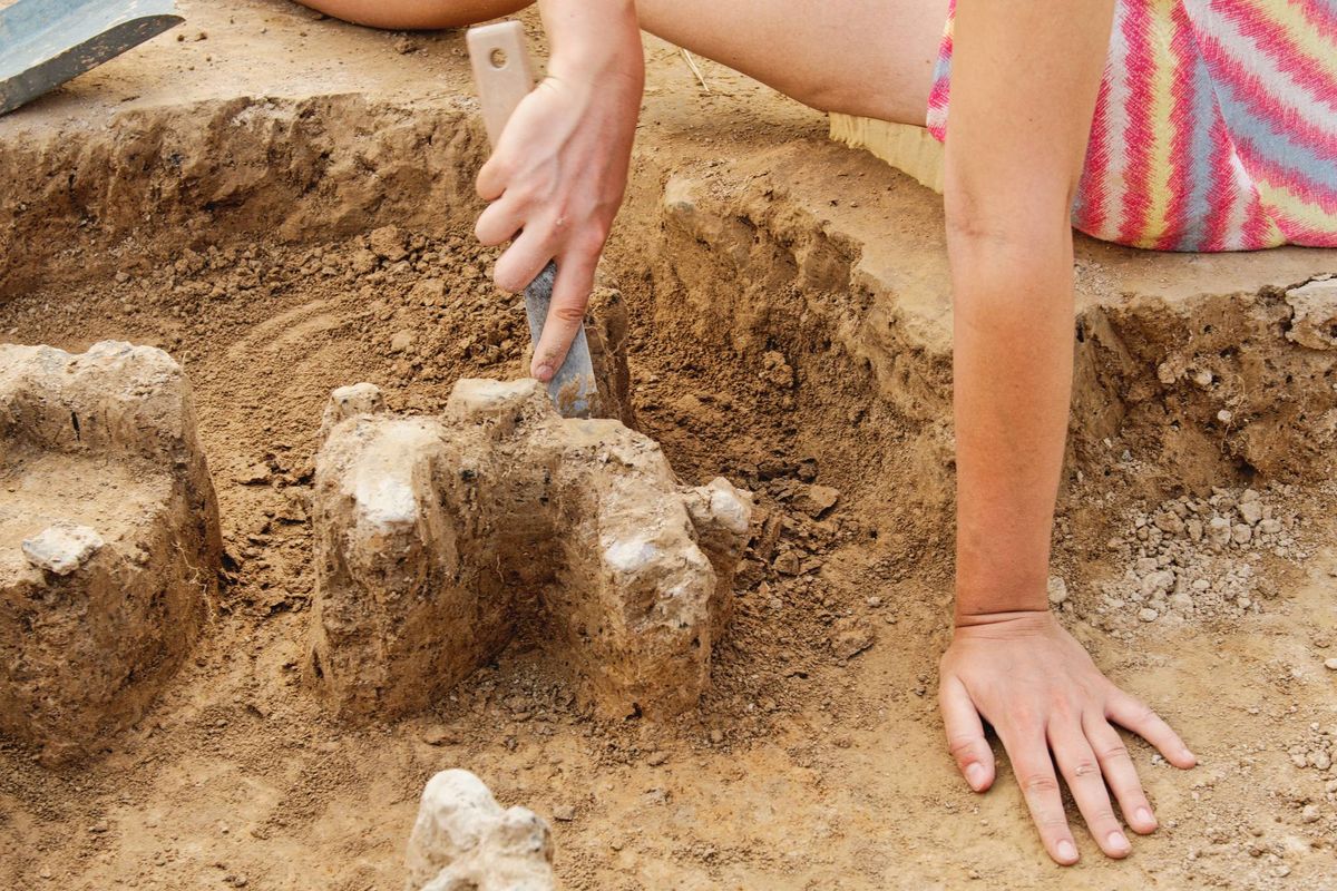 Dig! Study! Explore! An Archaeology Adventure (Grove City) (Youth)