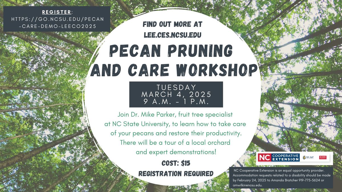 Pecan Care and Pruning for the South