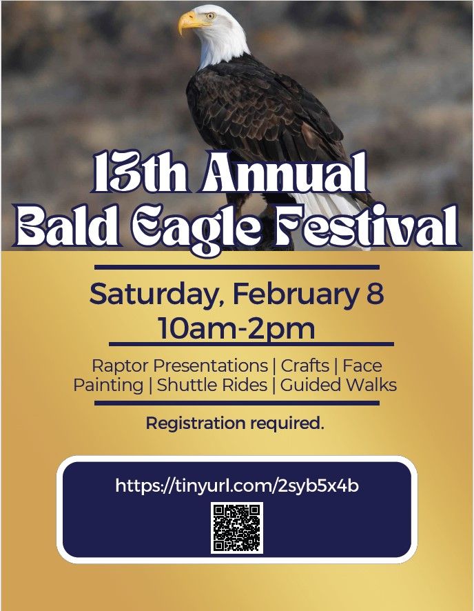 13th Annual Bald Eagle Festival