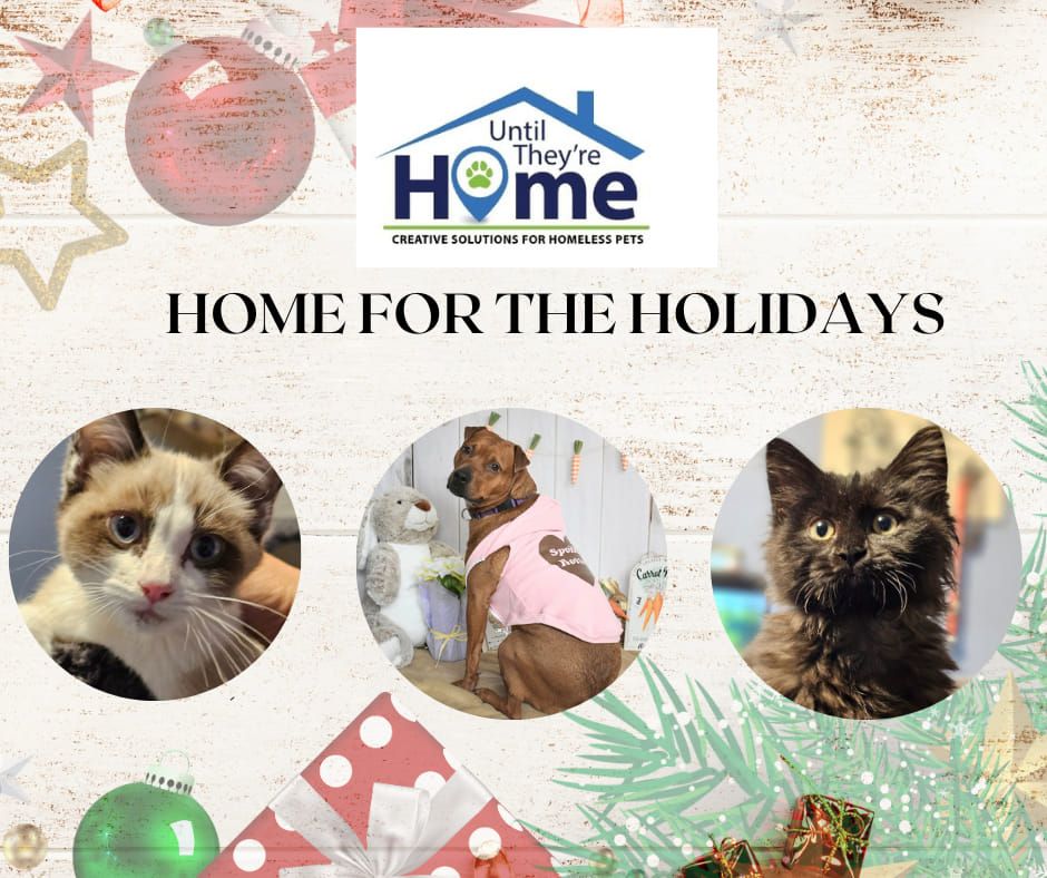 Home For The Holidays- Adoption Event