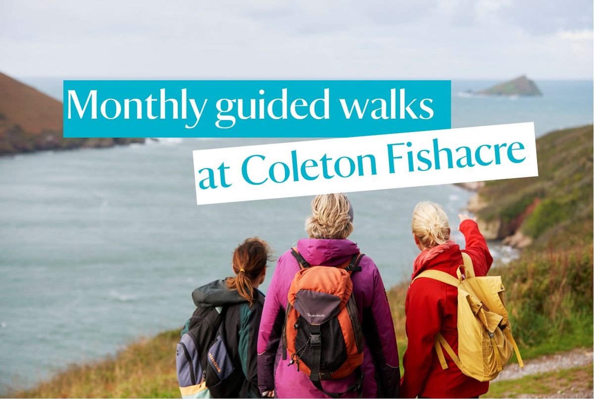 Monthly guided walks at Coleton Fishacre