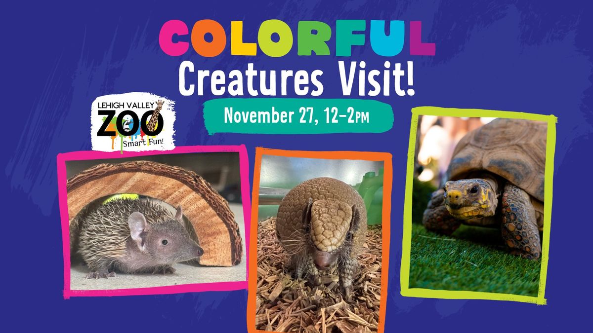 Colorful Creatures Visit with LV Zoo 