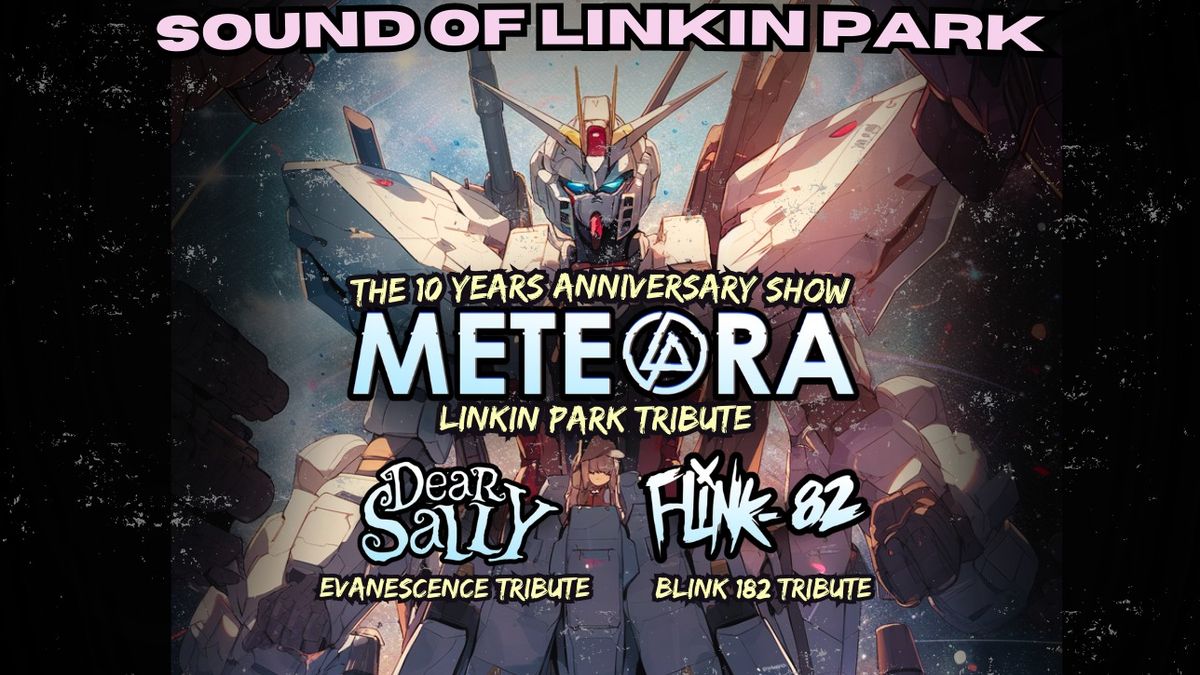 [LILLE] Sound of Linkin Park \u25ba Concert des 10 Ans de METEORA \u2719 DEAR SALLY \u2718 FLINK 82