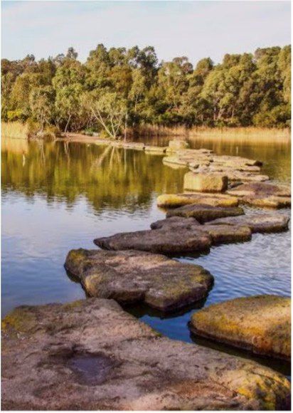 The History of Newport Lakes