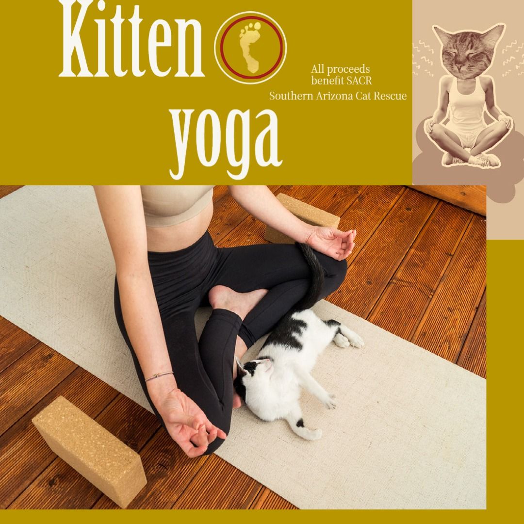 Kitten Yoga for SACR
