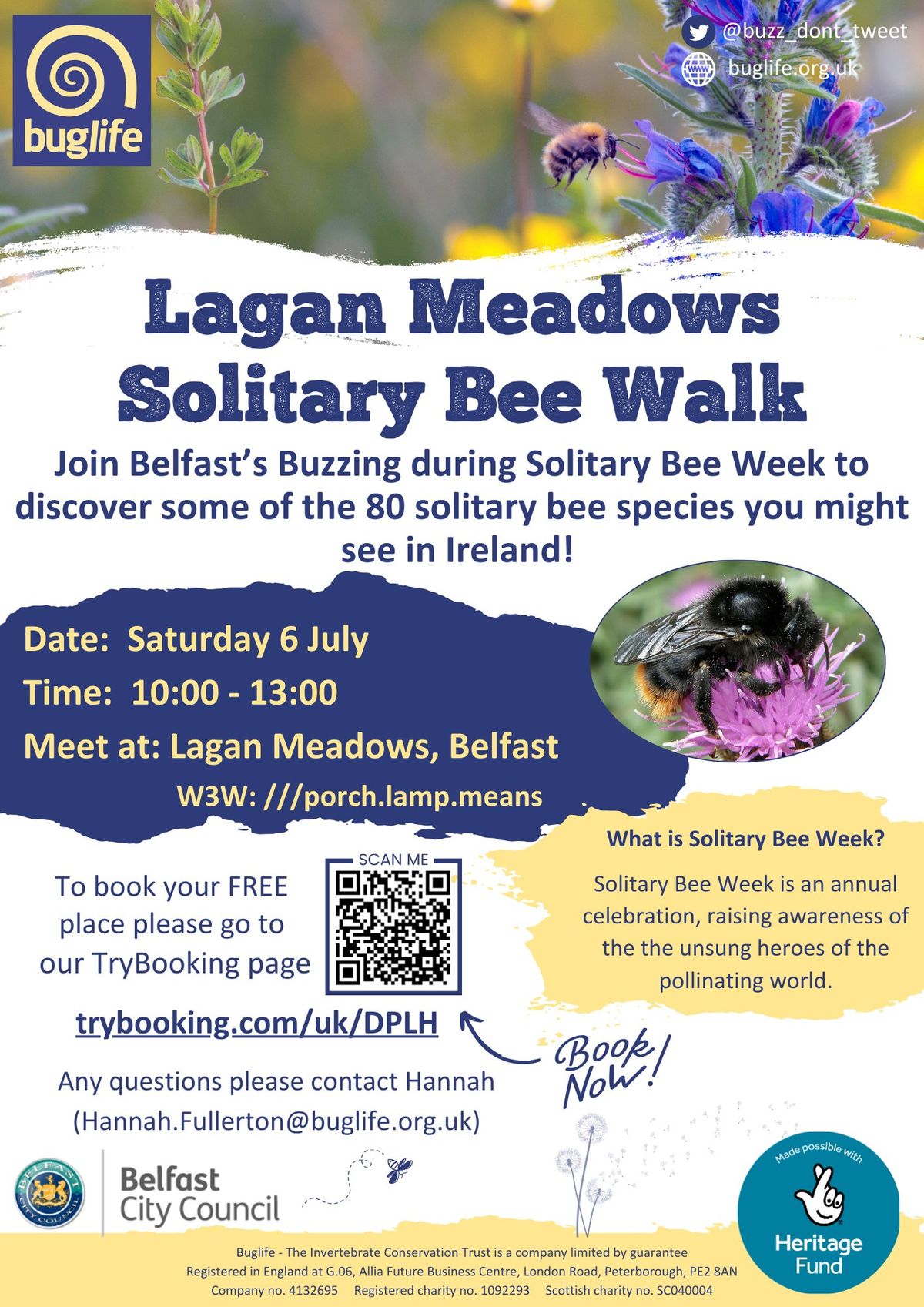 Lagan Meadows Solitary Bee Walk with Belfast's Buzzing!
