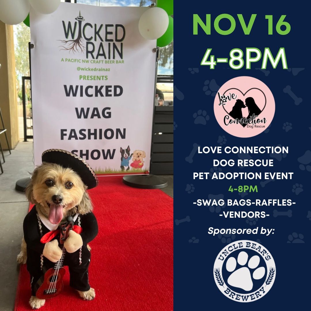 Wicked Wag Fashion Show