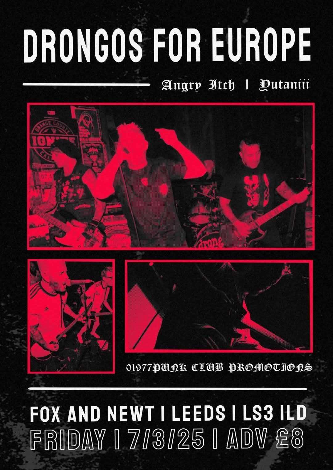 Drongos for Europe\/ Angry Itch\/ Yutaniii 