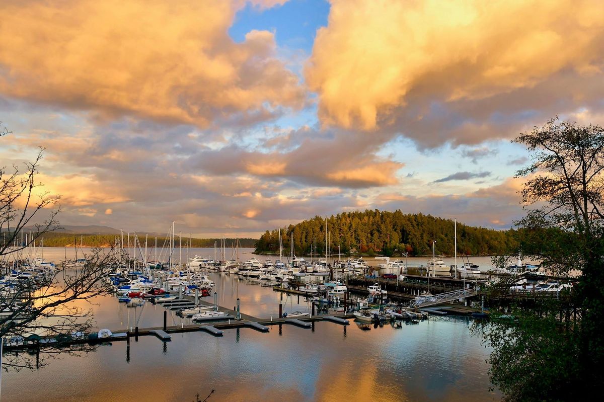 Chardonnay Shopping with Friday Harbor House