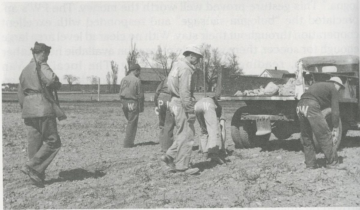 Captives in the Heartland: Wisconsin's WWII POW Stories