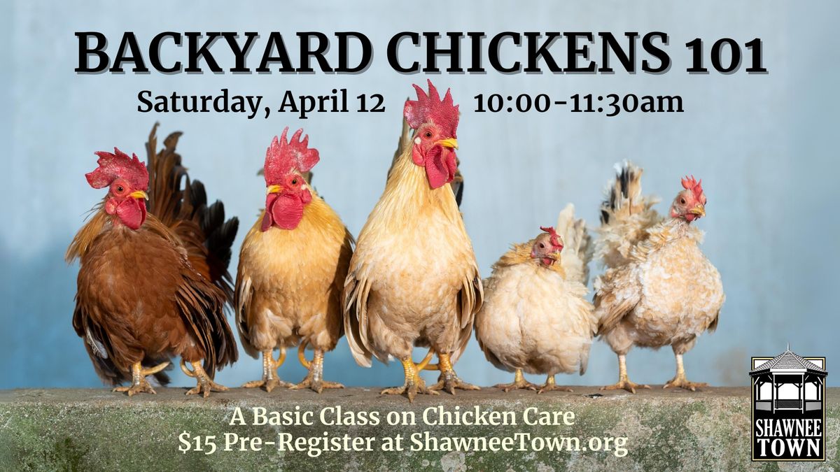 Backyard Chickens 101