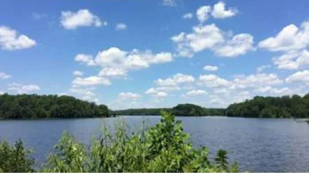 Burke Lake Park loop Trail Hike and Bunnyman Brewing.