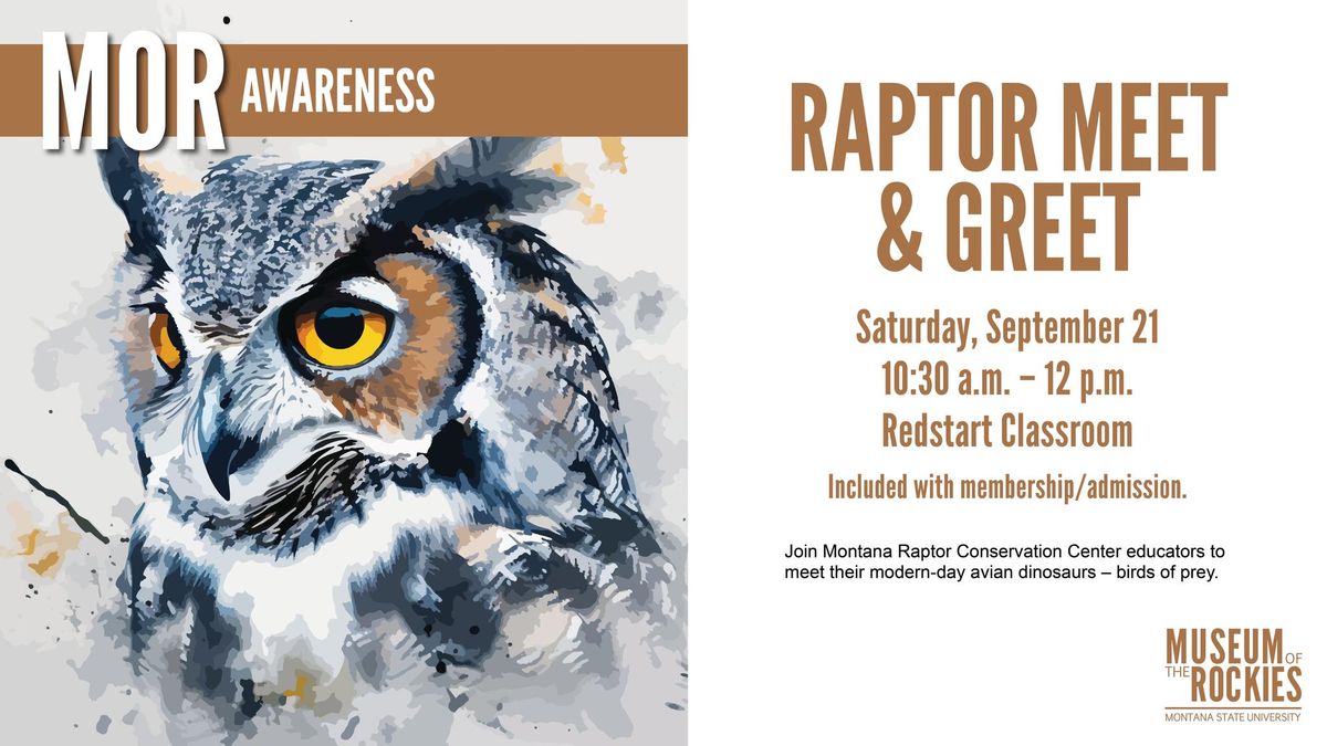 Raptor Meet & Greet