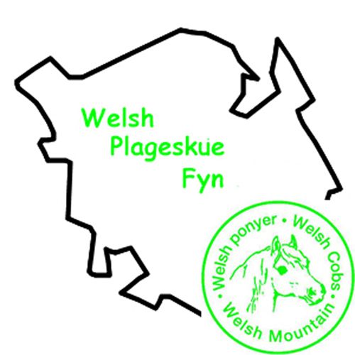 Welsh Plageskue Fyn