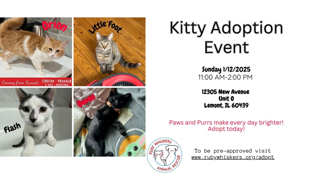 Kitty Adoption Event