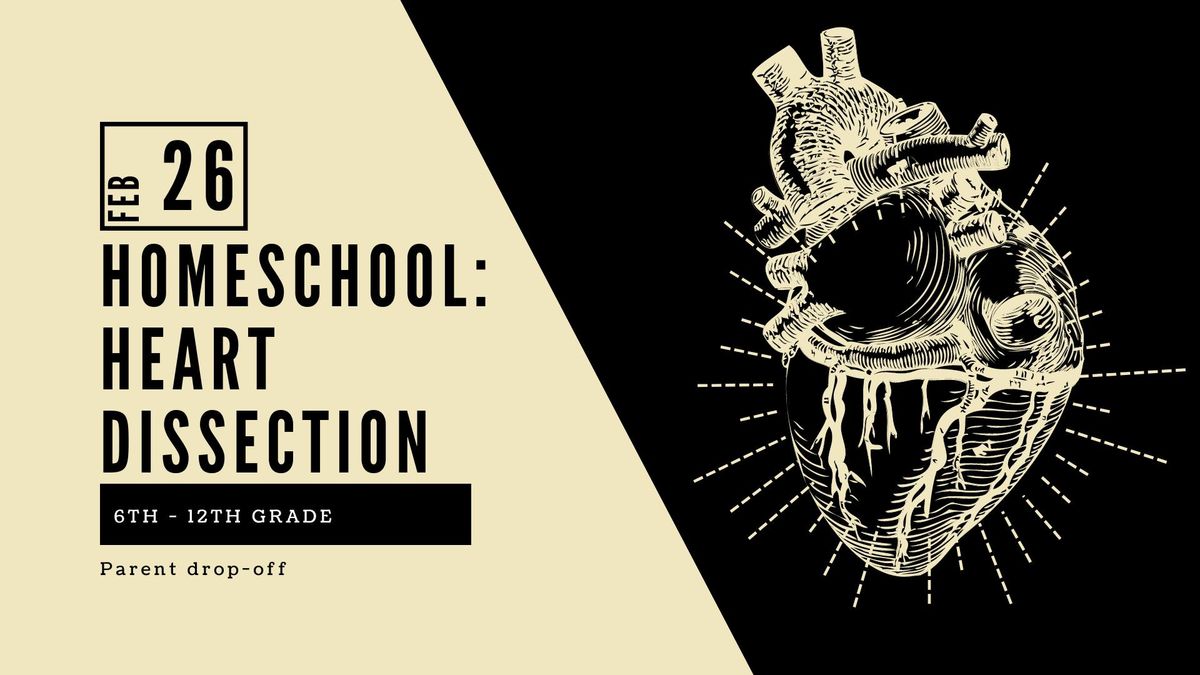 Homeschool 6th-12th Grade: Heart Dissection