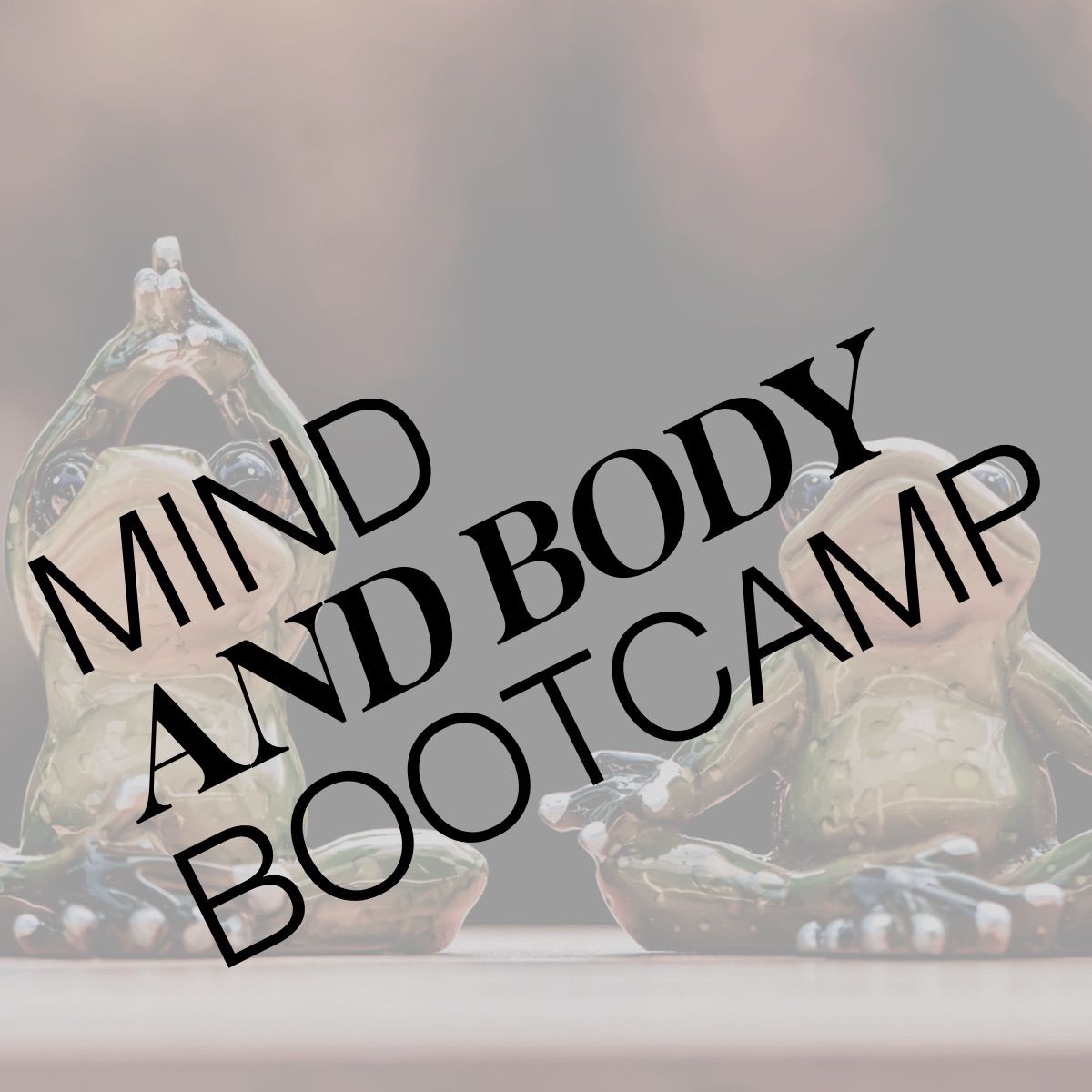 Mind and body bootcamp