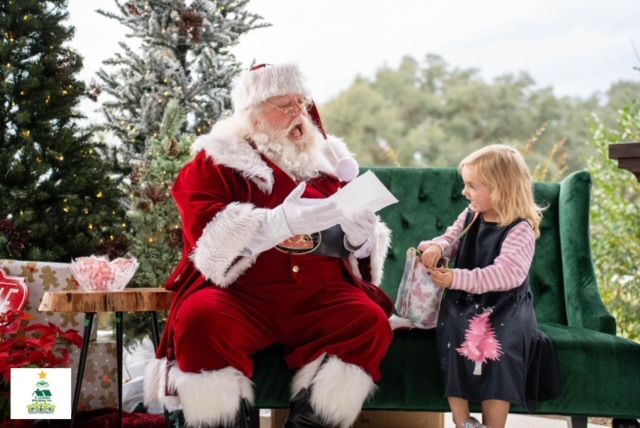 Snow Fest and Cookies with Santa